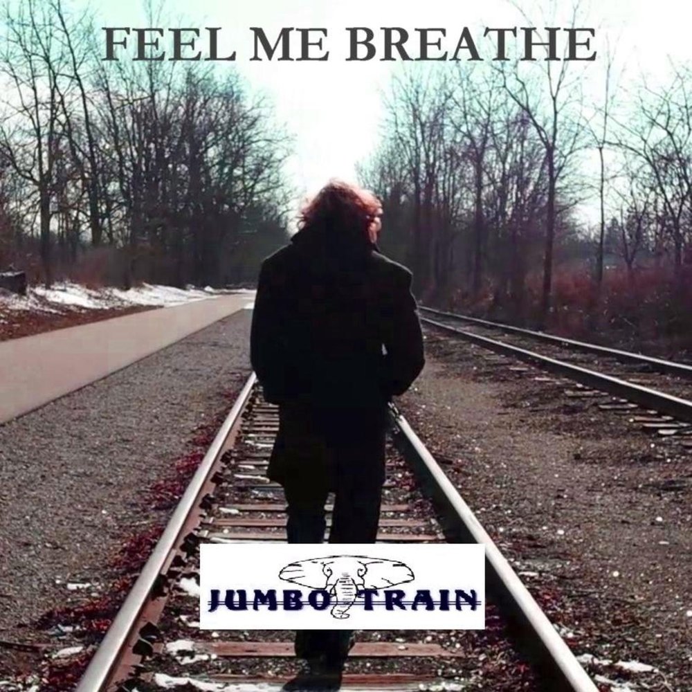 Feel train