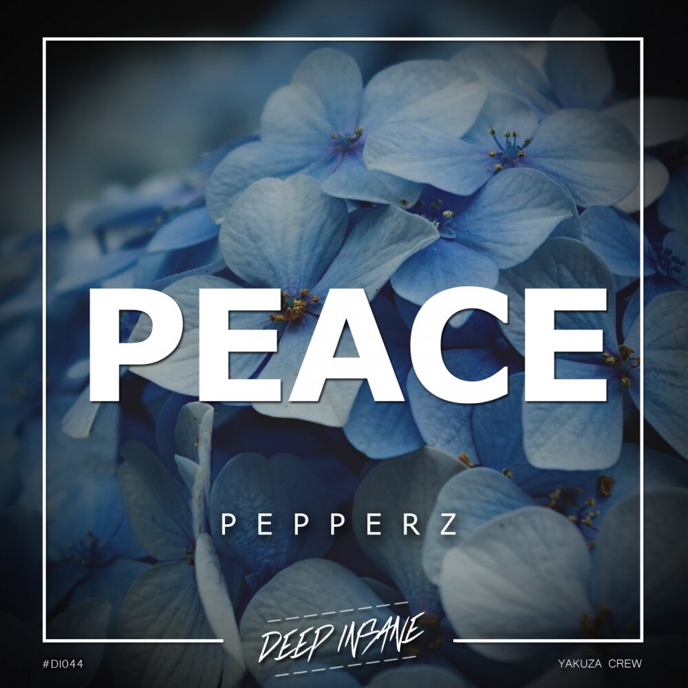 Follow peace original mix