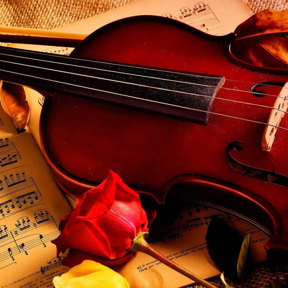 Классика очень красиво. Скрипка. Красивые музыкальные инструменты. Музыкальные картинки. Ноты для скрипки.