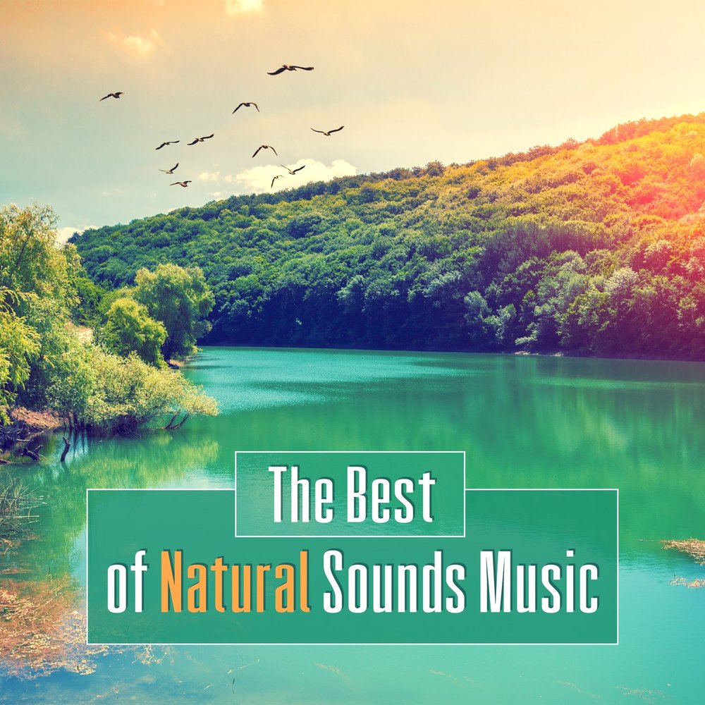 Sounds of nature. Brainstorm Waterfall. Wind Flute Crickets Sound. Nature collection