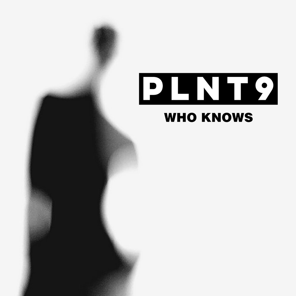 Who knew?. Who knows not me. Music ptz. Jimi hendrix maui. The who best of.