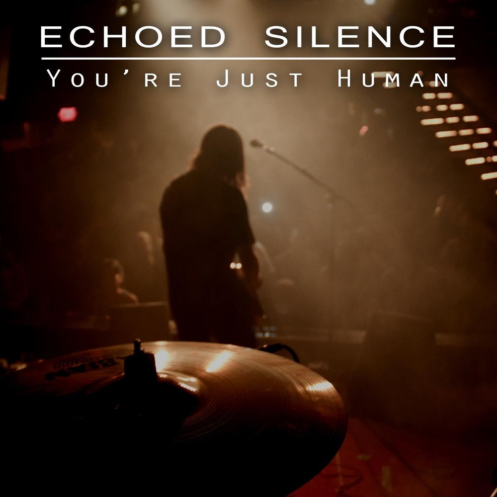 Молчание песня слушать. Songs of Silence. Silence песня. Echo песня. Echoes of Silence.