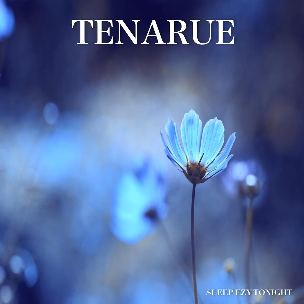 No sleep tonight. Sleep tonight песня. Sleep tonight. Sleep tonight песня. Sleep tonight песня.