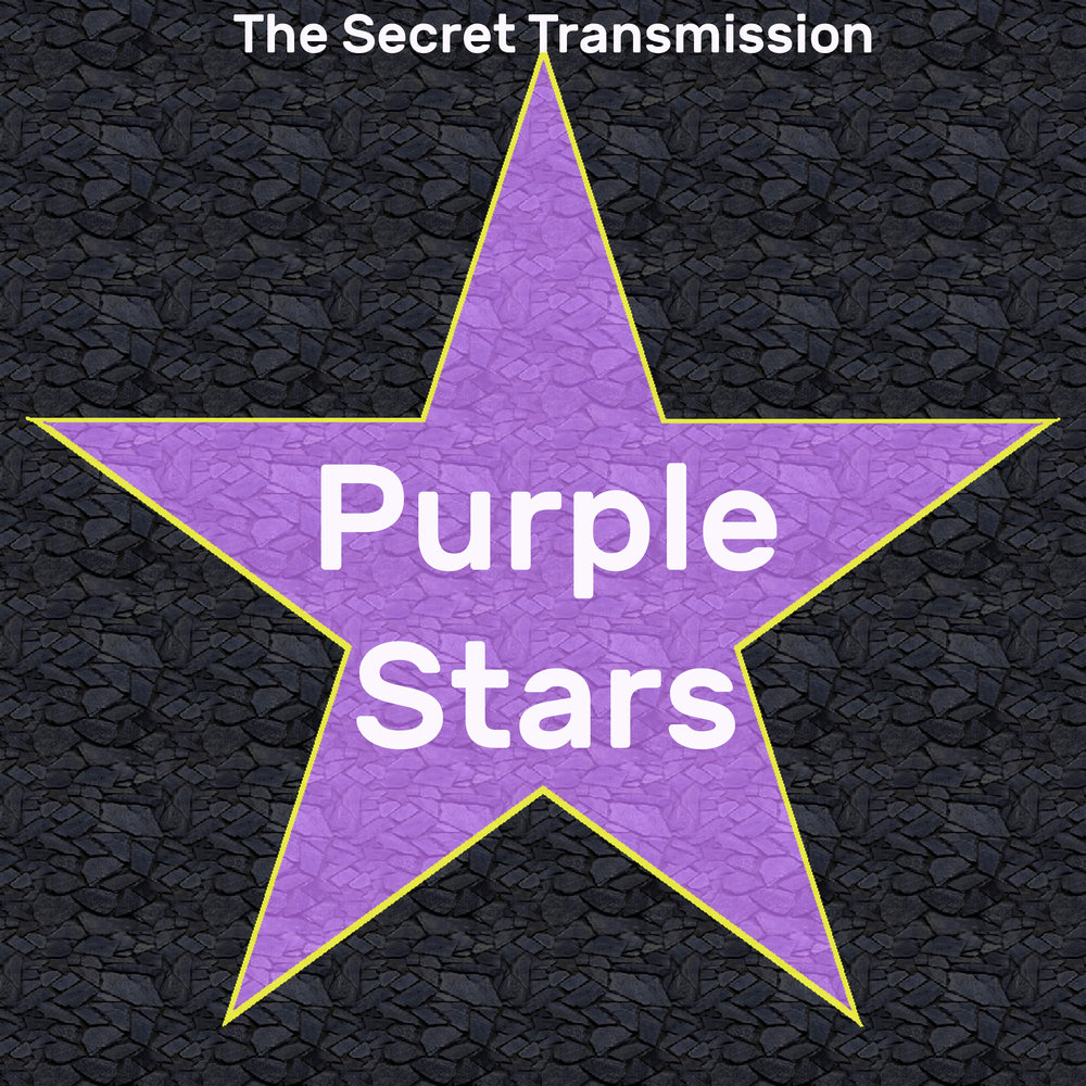 We stars перевод. Secret Stars Star. Secret Star группа. Secret Stars Official. Star Purple песню.