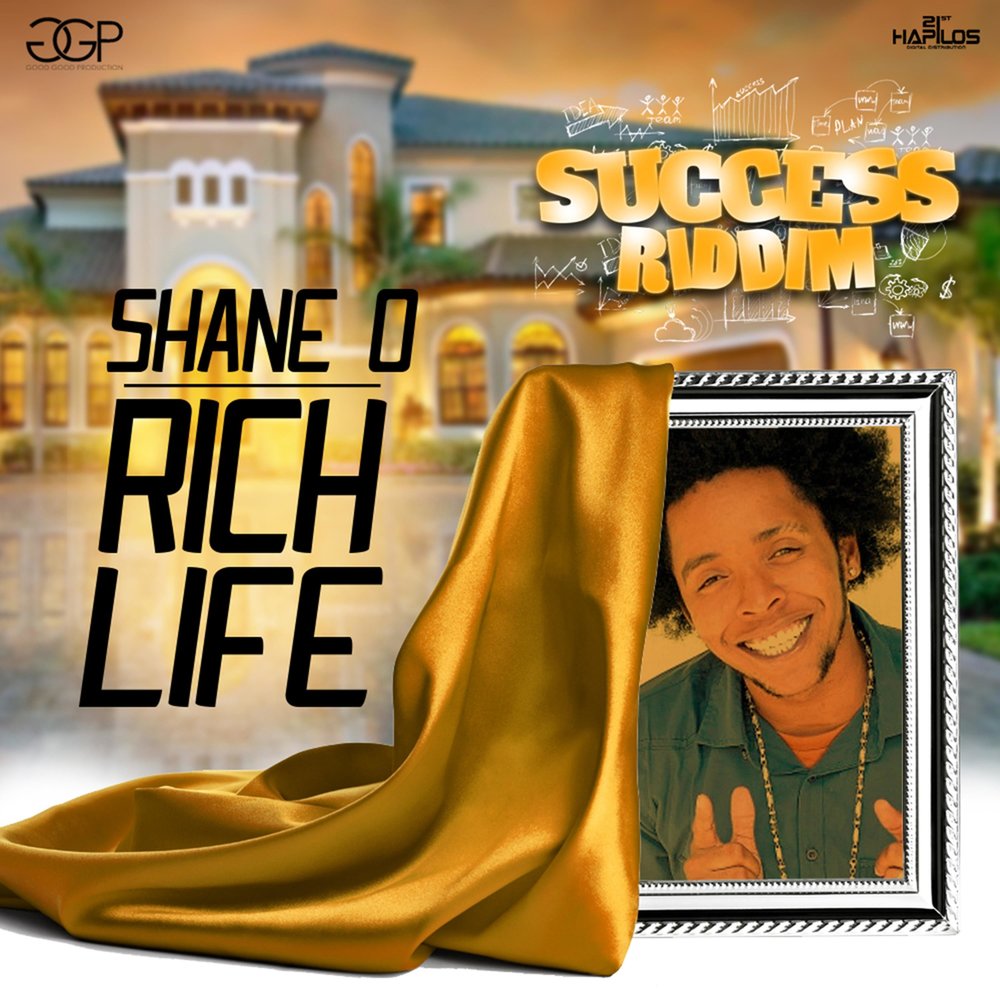 Rich life 1