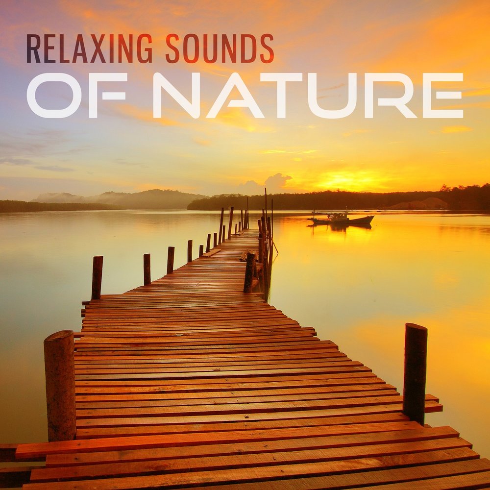 Nature sounds relaxing. Natural Relax.