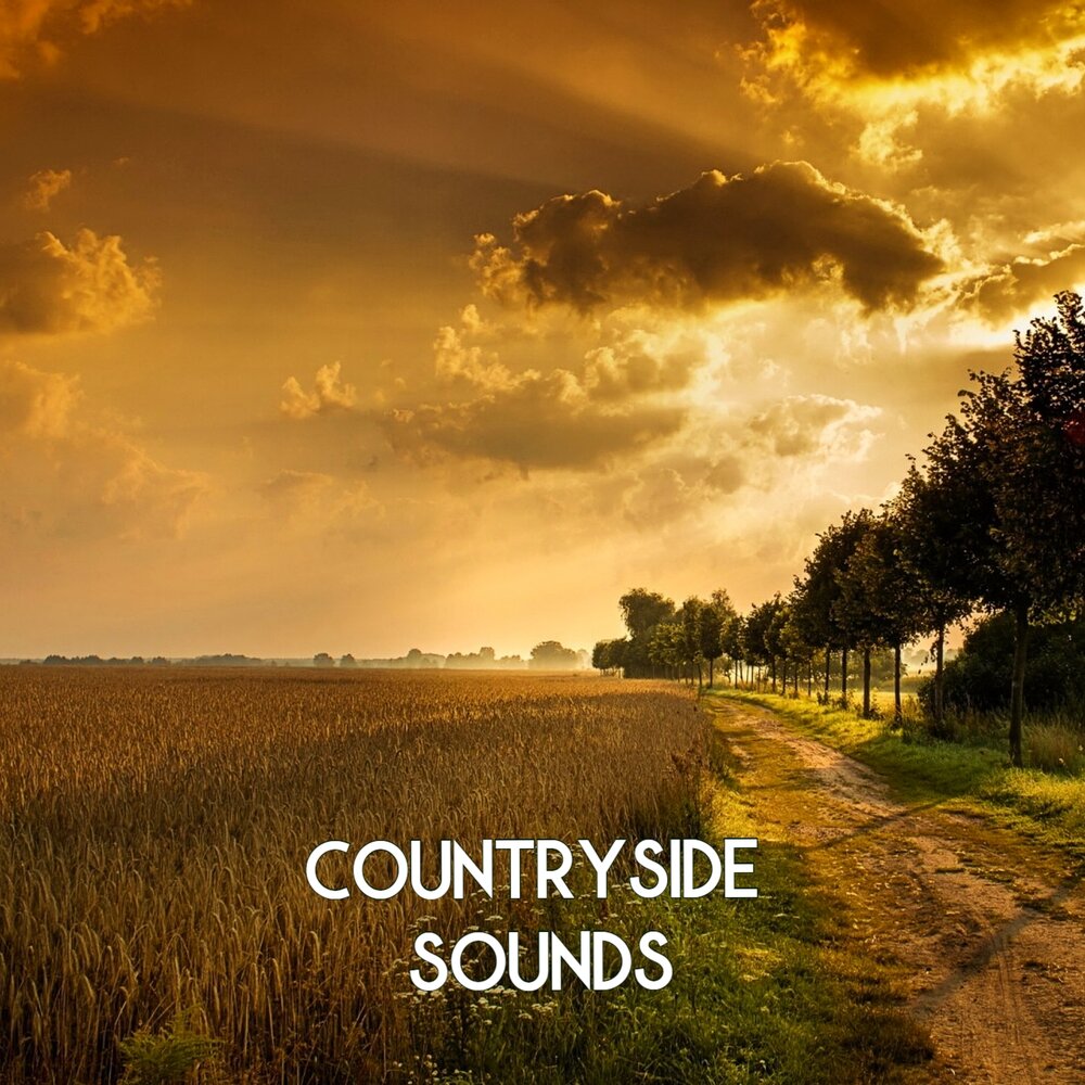 Countryside listening