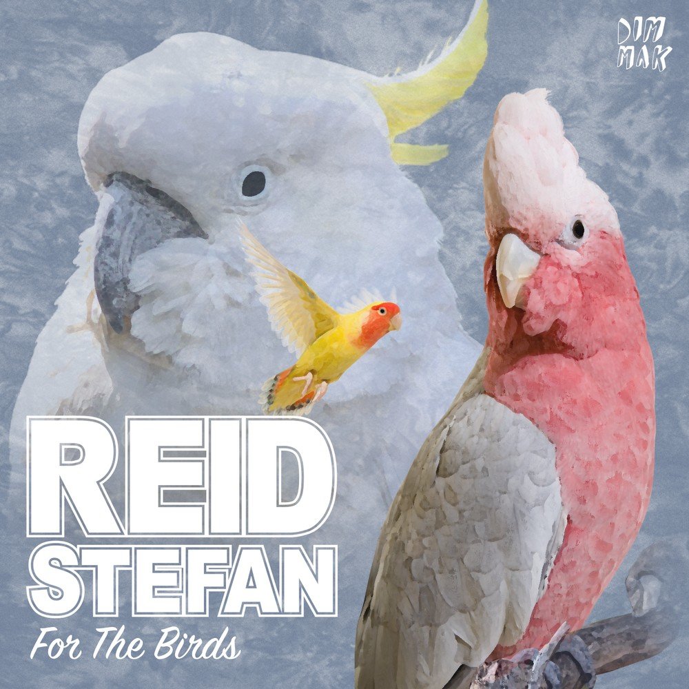 Listen the birds sing. Reid Stefan. For the Birds. Песня Bird. Listen to the Birds.