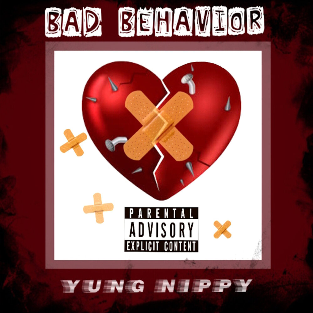 Bad Behavior. Bad behaviour