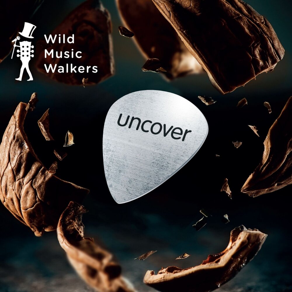 Uncover. Мелодия Wild. Картинка Wild музыка. Music Walker. Дикая музыка слушать.