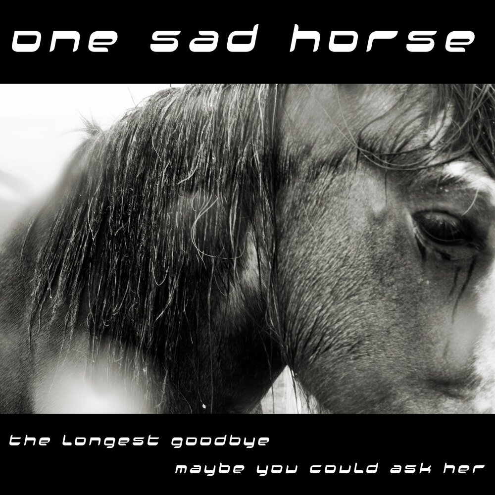 Sad one saba. Лошадь грусть. Слез с лошади. Horse песня. Песня one Horse.