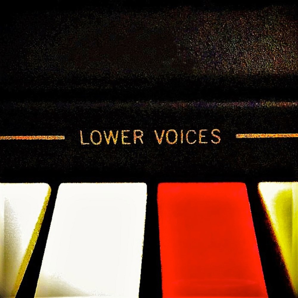 Lower your voice. Войс Войс Войс песня. Low Voice. Lower Song. I will not lower my Voice.