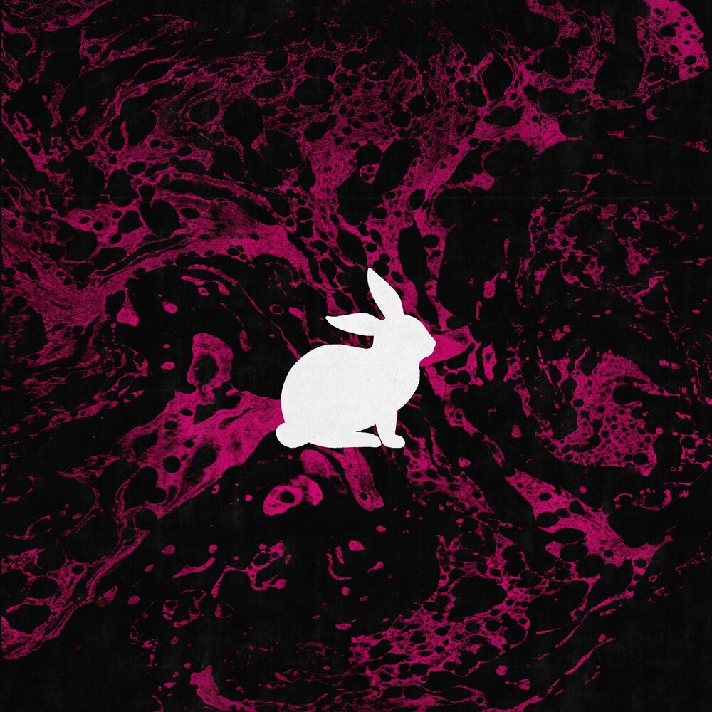 Rabbits music. White Rabbit исполнитель. Ian Storm - White Rabbit !.