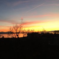 JoJo'Star Johanna Fegan