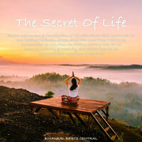 Binaural Beats Home