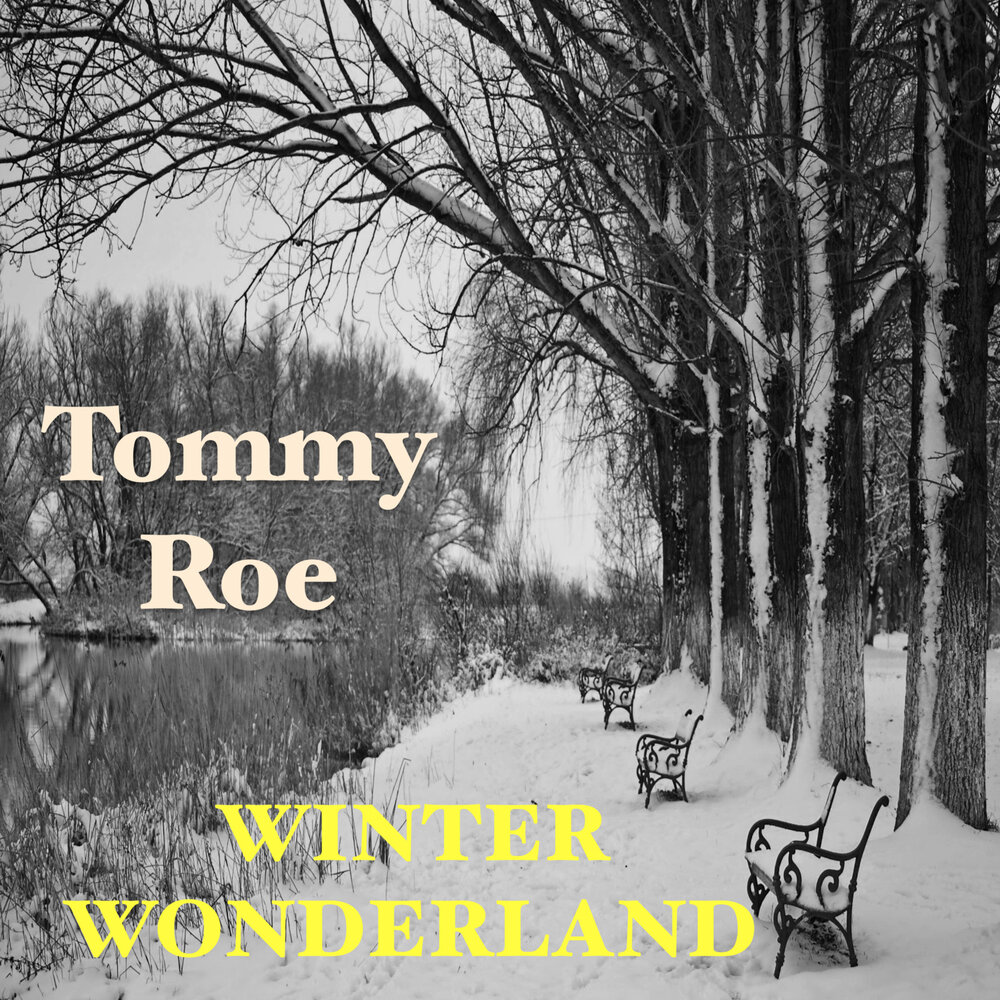 Песня winter wonderland. Альбом зимний песни. Альбом зимняя музыка. Tommy Roe it's Now Winter's Day.