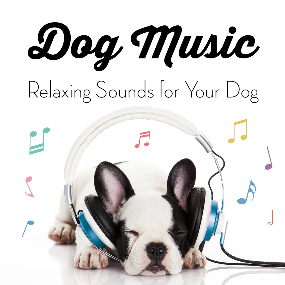 Dog музыка. Sleeping Music for Dog. Снов дог музыка слушать. Релакс музыка для собак. Картон дог музыка слушать.