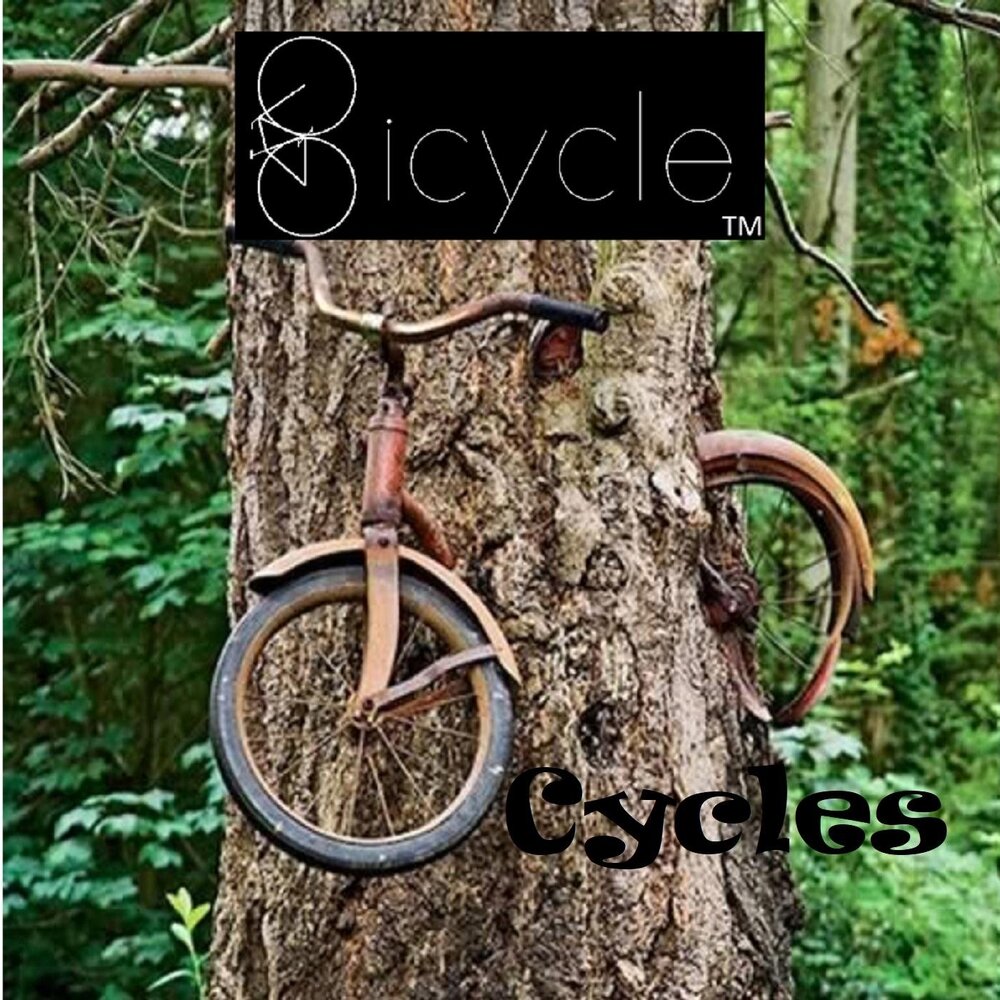 Велосипед найти слова. Skin велосипед. Велосипед Пожиратель. Bicycle песня Chunga. В ролях саундтрек велосипед.
