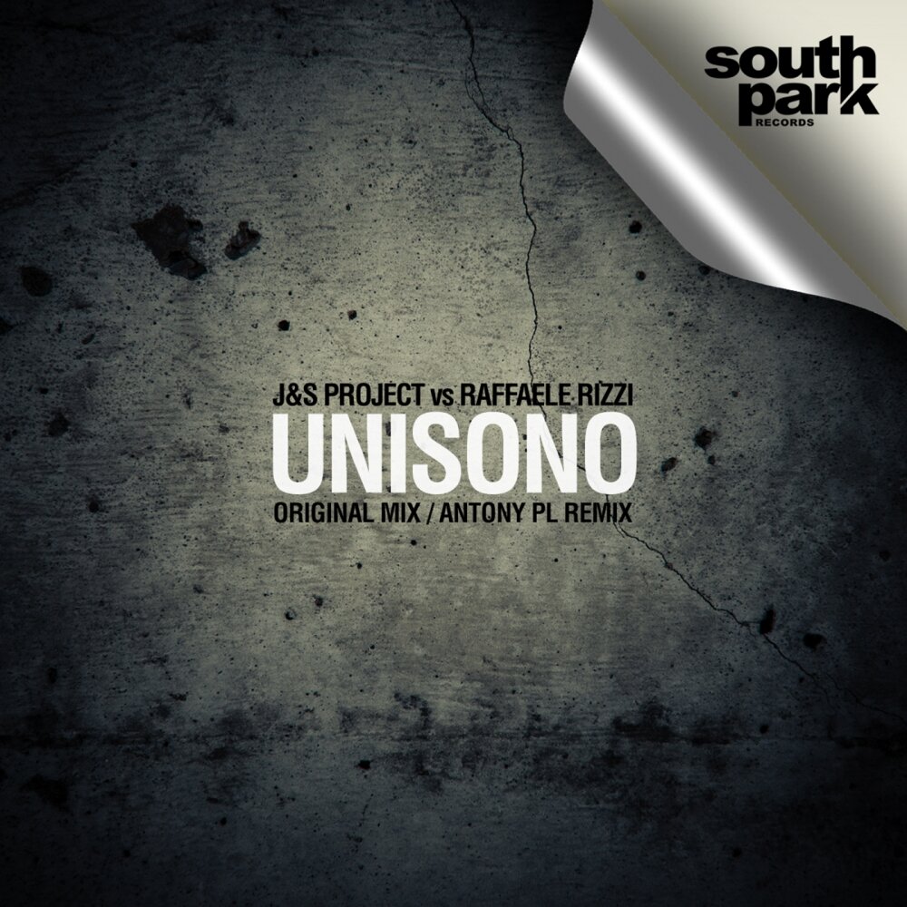 S project v. Unisono. unisono project. project v. pl_tony.