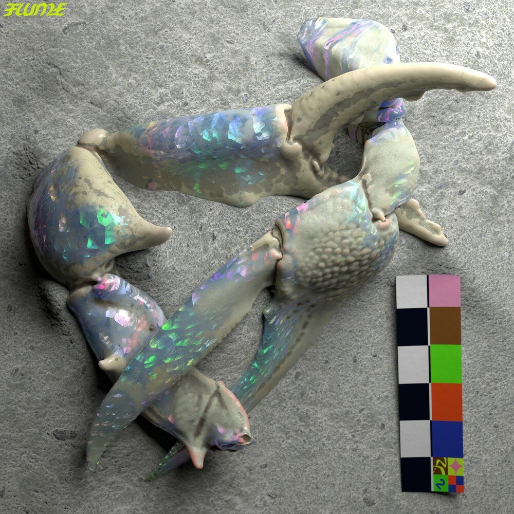 track-cover
