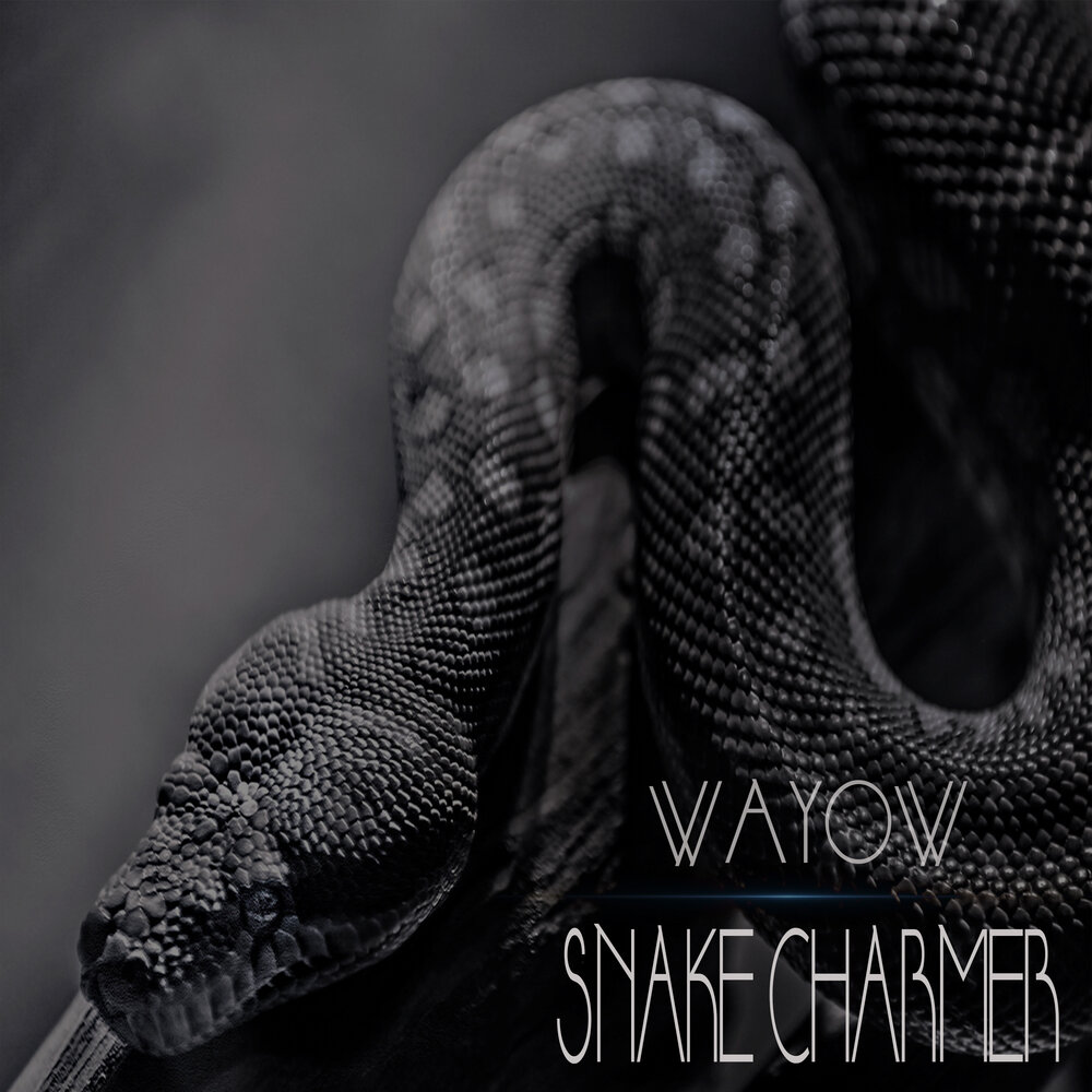 Песня snake. Snake трек. Змеи для альбома. Боди Snake Charmer. Snake слушать.