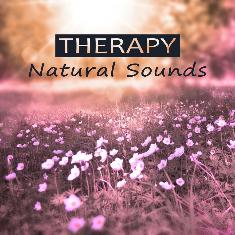 Sound Therapy. "Nature Sounds" && ( исполнитель | группа | музыка | Music | Band | artist ) && (фото | photo).