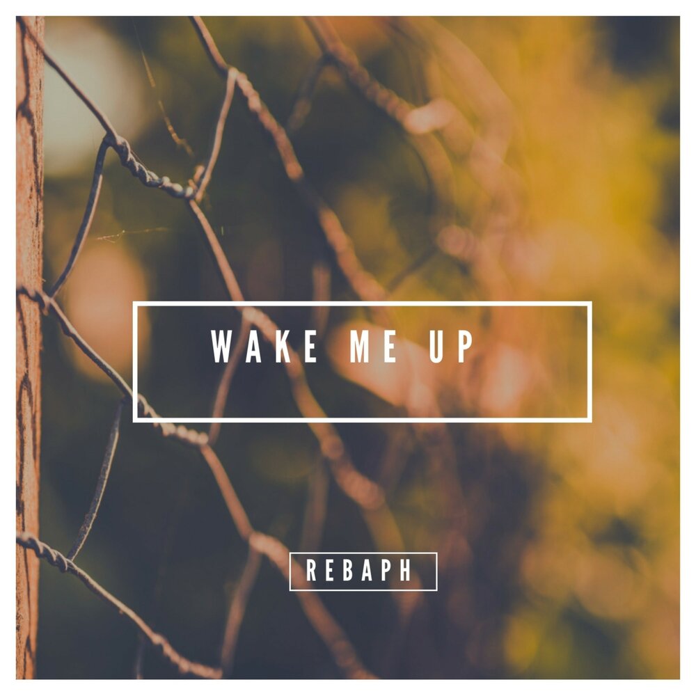 I wake песня. Песня Wake me up. Wake me up Постер к песне. Wake me up - дом обложка. Обложка песни Wake up.