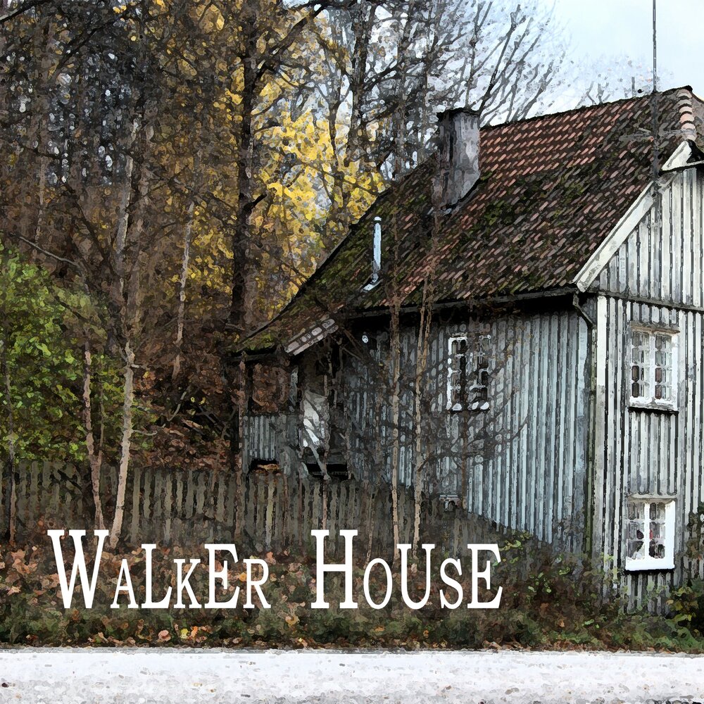 Walking house