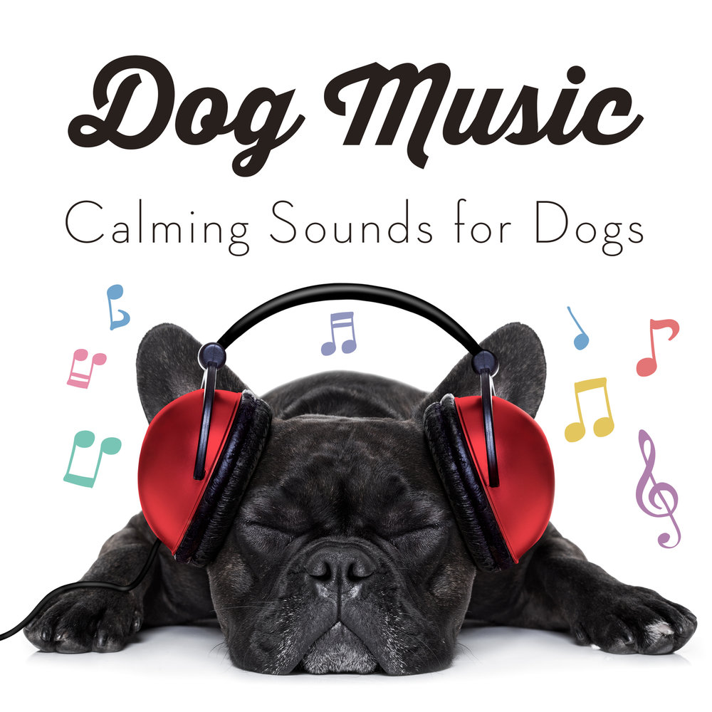 Music Dog. Zoo Music собачка. Дога музыка. Лучшая музыка для собаки. Music pets