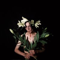 artist-cover