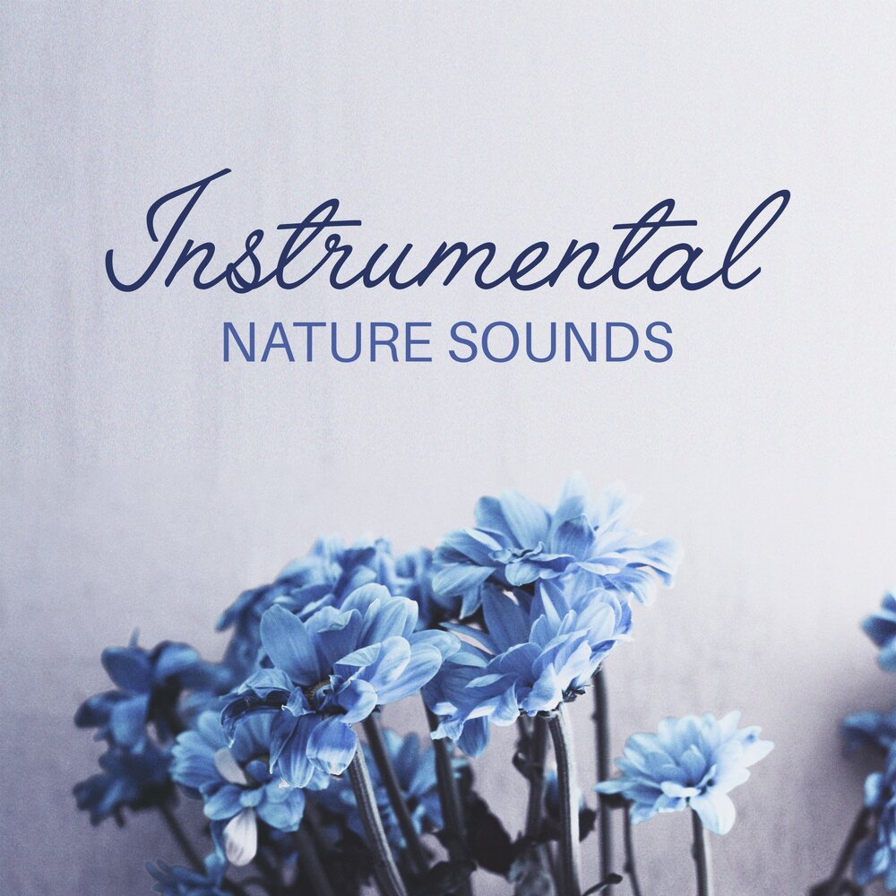 "Nature Sounds" && ( исполнитель | группа | музыка | Music | Band | artist ) && (фото | photo).