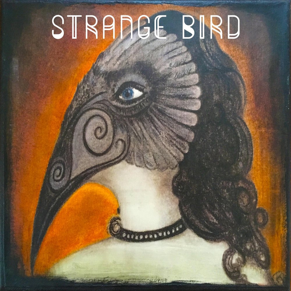 Birdy strange birds. Birdy Strange Birds Ноты. Песня Strange Birds mp3. Автор песни странные птицы.