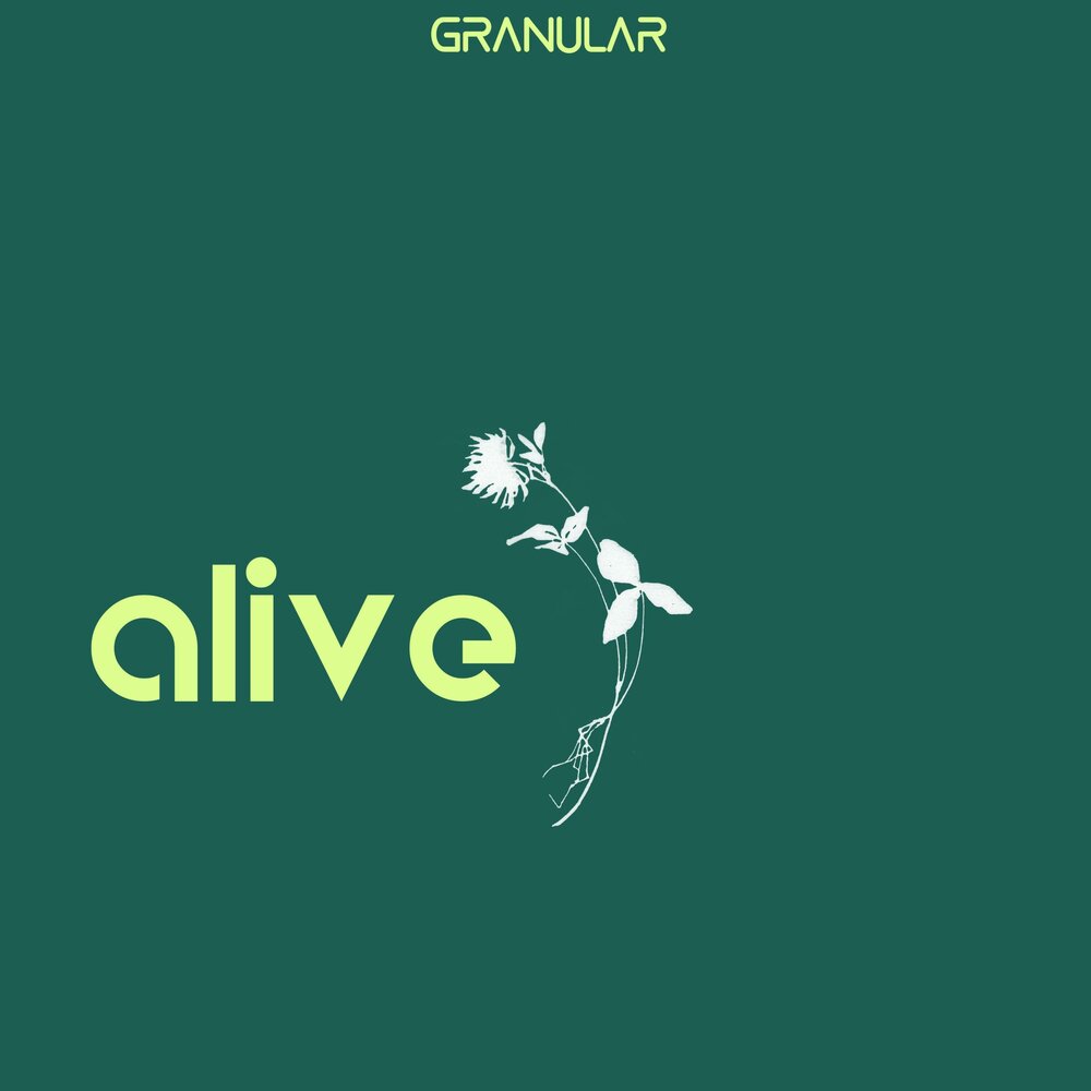 Alive album