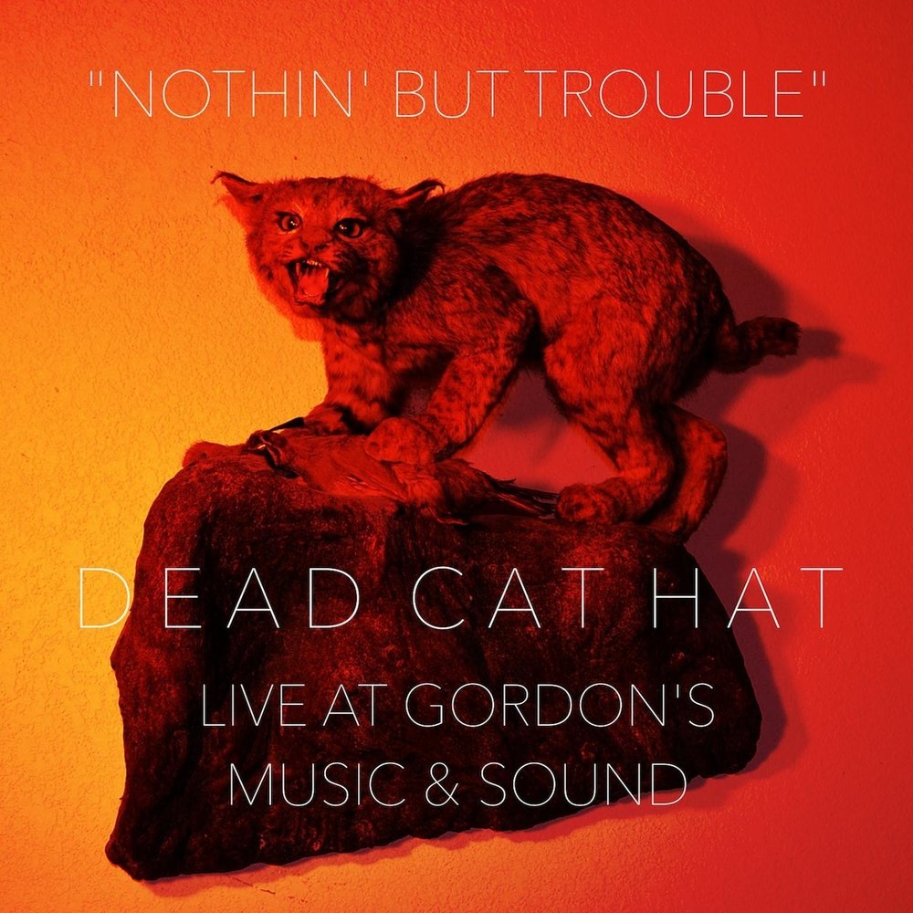 Перевод песни your cat is dead. Dead Cat слушать. Trouble Dead. Troubled Death.