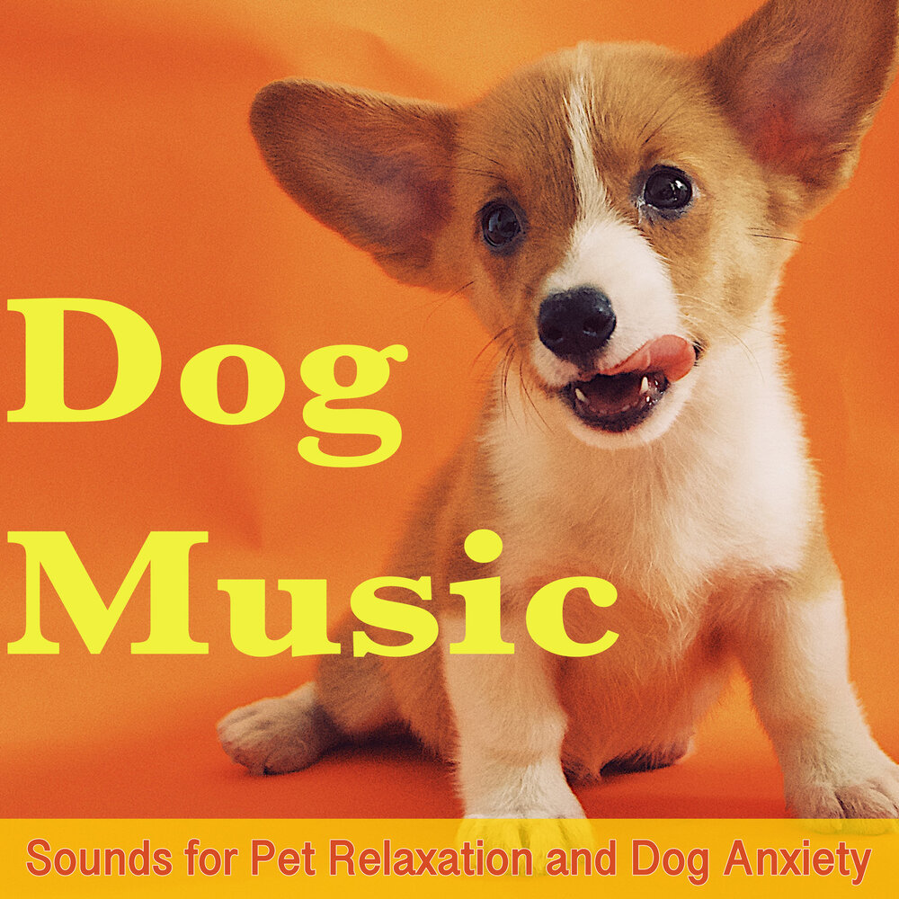 Dog music