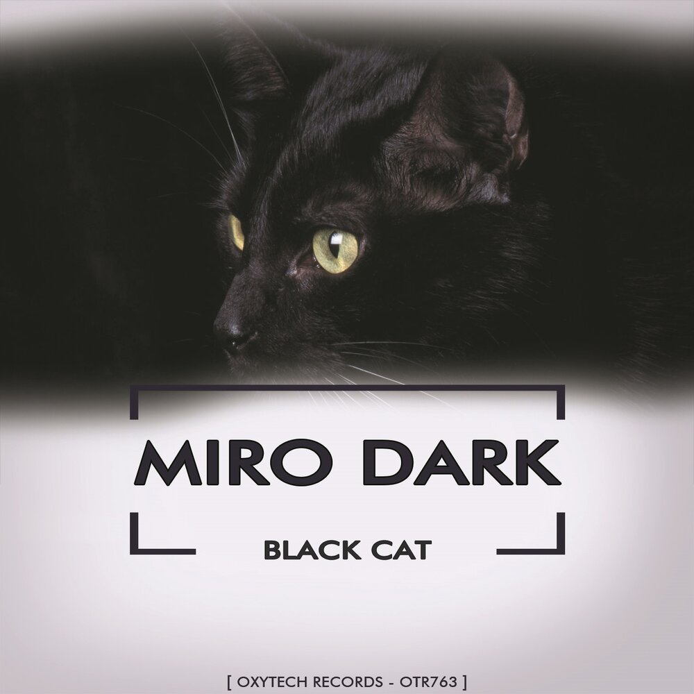 Песня dark слушать. Очки Miro Cat 3. Черный кот на обложке альбома. Астрал кошка. Черный кот слушать.