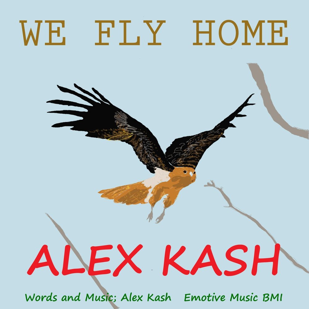 We fly he. Fly Home. Alex Fly. Flying Home мелодия. Fly Home Song.