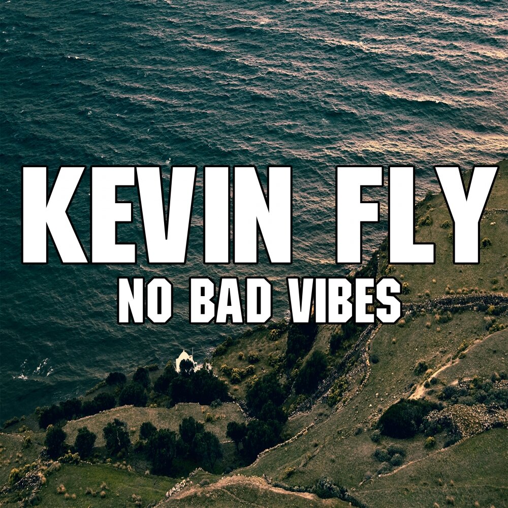 Bad Fly. Песня no Bad Vibes.