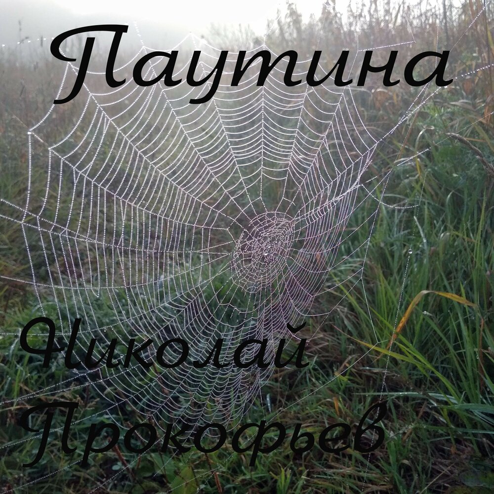 Слушать паутину свечина. Свечин взаперти обложка книги. Слушать паутину свечина. Паутина песня. Слушать паутину свечина.