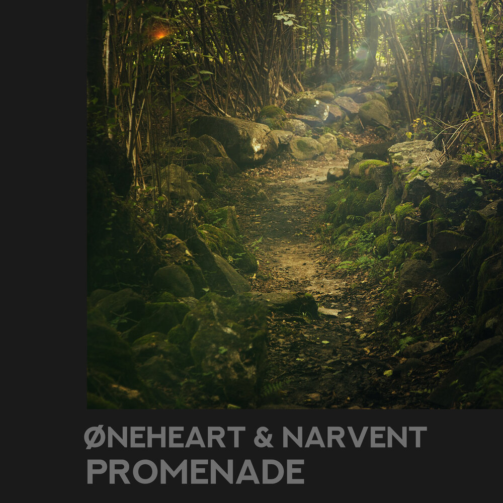 Narvent memory. Атмосферные обложки для трека. Øneheart. Обложки Øneheart. Spotify narvent.