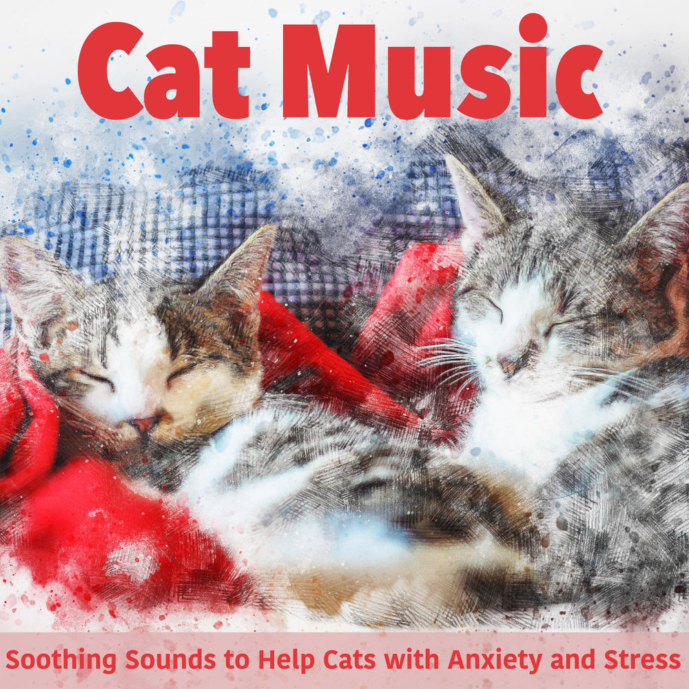 Music for cats