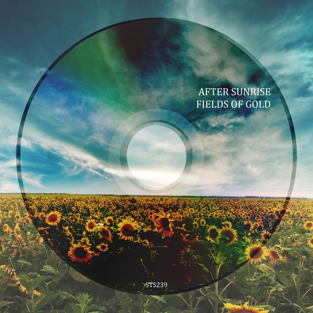 Field music. After Sunrise. Solar fields альбомы. Fields of Gold. Weirdcore.