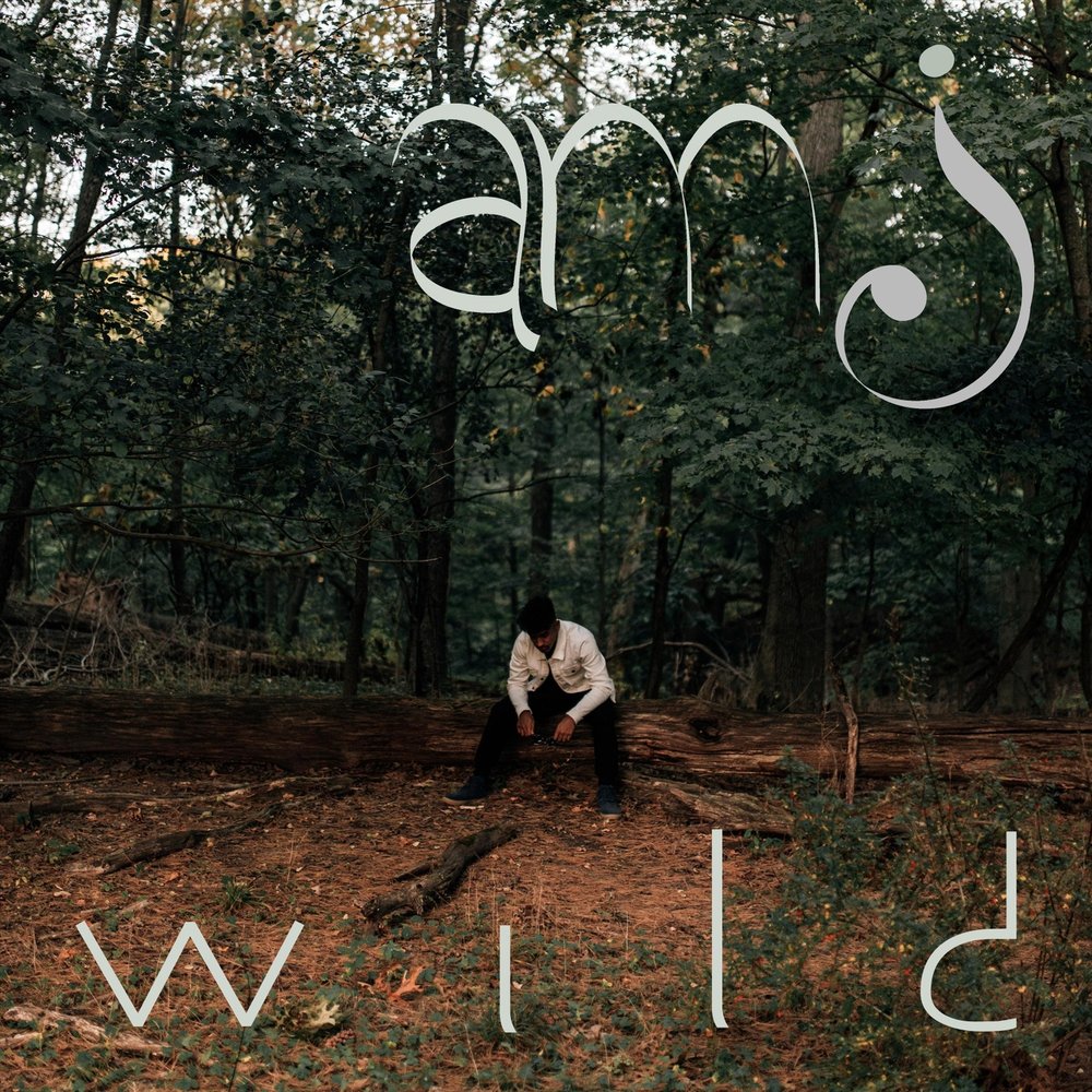 Wildest am. Song of the Wild. One Wild year.