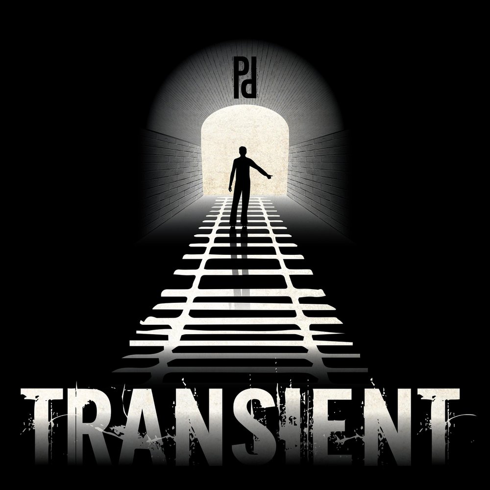 Playing dead and one. Transient игра. Transient records.