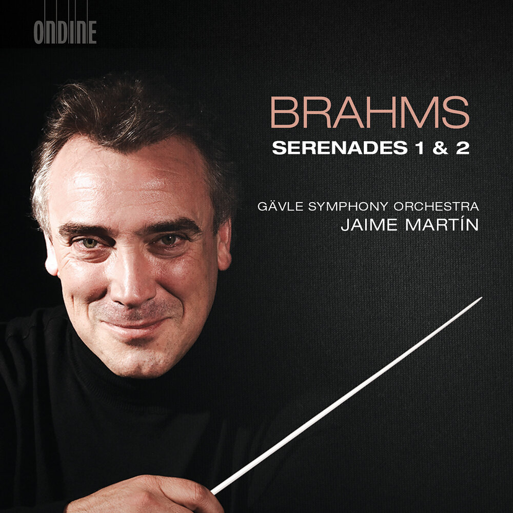 Оркестр брамс. Johannes brahms. брамс слушать.