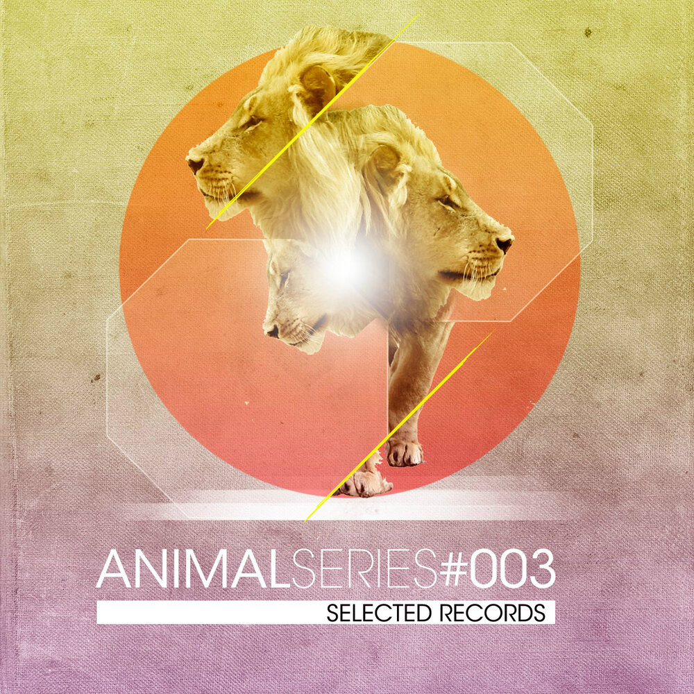 Select record. Animals альбом. Животные альбом музыкальный. Selected records. Animals альбом 2018.