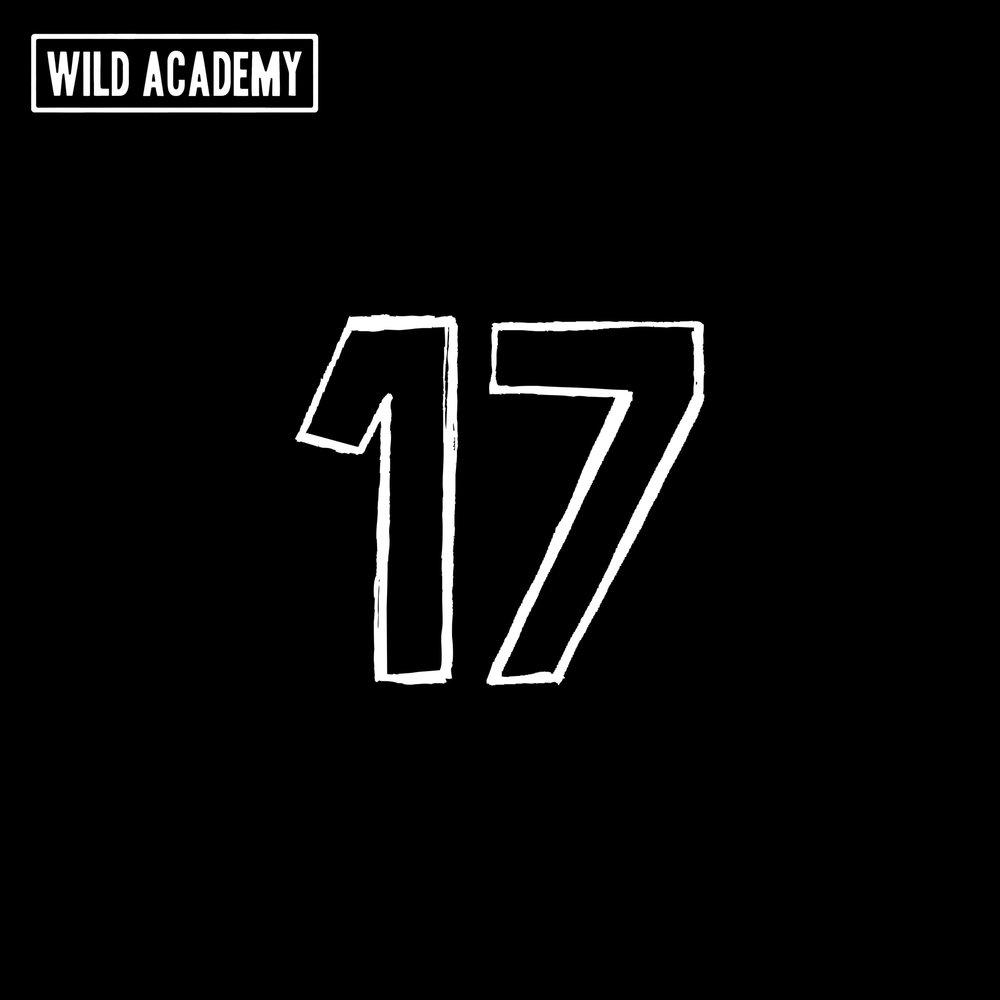 Альбом 17. Wild time.