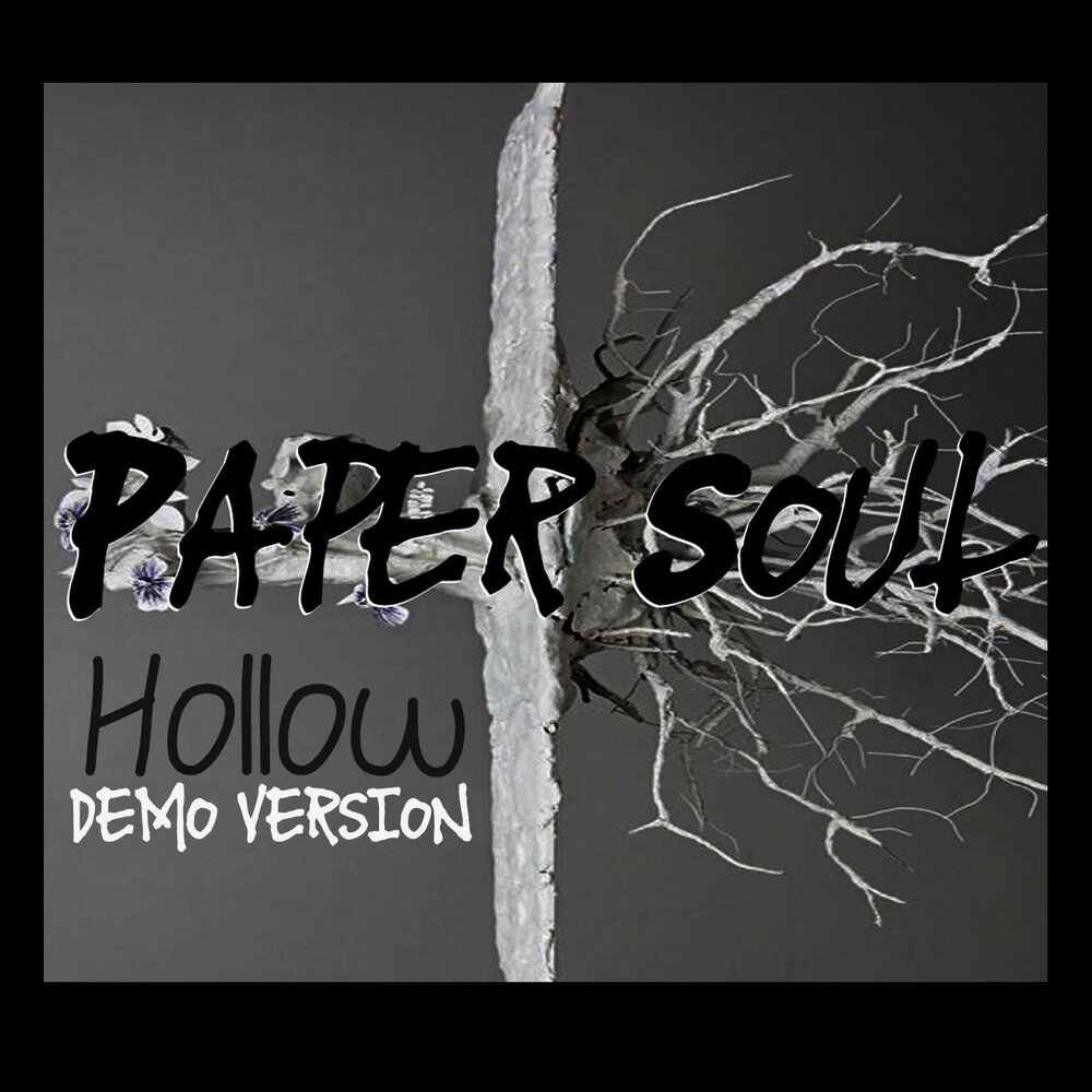 Hollow soul