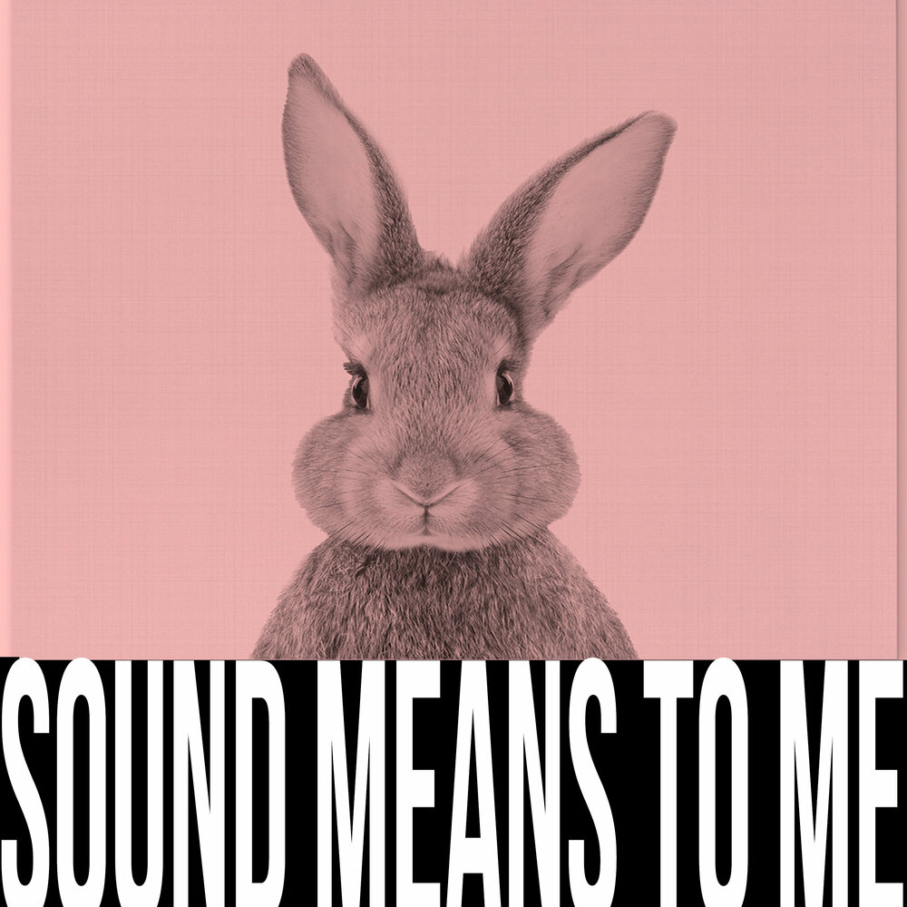 Sound means