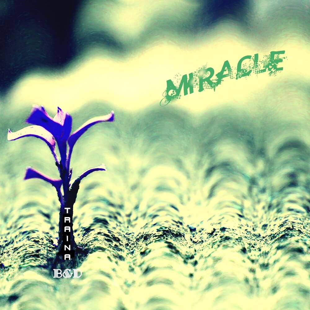 Miracle feat. Traina.